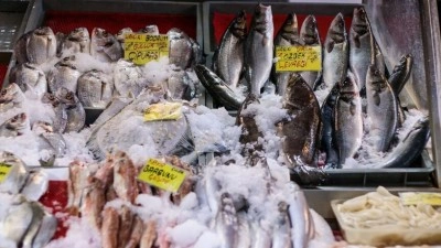 T&uuml;rkiye'nin su &uuml;r&uuml;nleri ihracatı ilk yarıda 1 milyar doları aşarak rekor kırdı