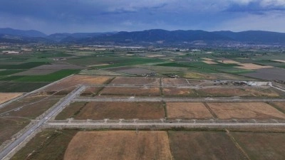 T&uuml;rkiye'nin tıbbi ve aromatik bitkilerde "ilk" ihtisas OSB'si 2027'de &uuml;reti