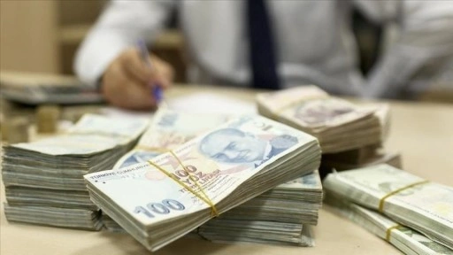 Türkiye'nin yerel gücü, kalkınma ajanslarının destekleriyle harekete geçiriliyor