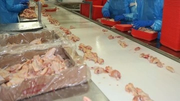 Türkiye tavuk eti üretiminde geçen yıl 2,2 milyon tonla rekor kırdı