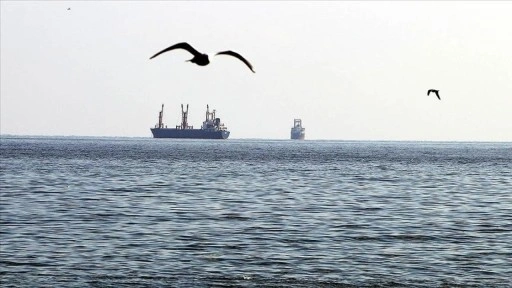 Türkiye, Türk sahipli deniz ticaret filosuyla dünyada ilk 10 hedefine ilerliyor