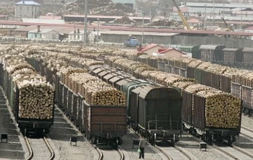 Türkiye'ye kereste ihracatındaki keskin artış Rusya pazarını hareketlendirecek