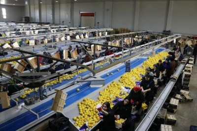 T&uuml;rkiye, yılın ilk &ccedil;eyreğinde en fazla yaş meyve sebzeyi Irak'a g&ouml;nderdi