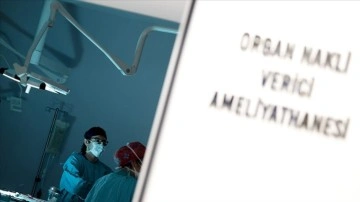 Türkiye'de 10 ayda beyin ölümü gerçekleşen kişilerin yüzde 16'sının organları bağışlandı