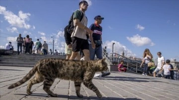 Türkiye'de son yarım asrın en sıcak üçüncü ağustos ayı yaşandı
