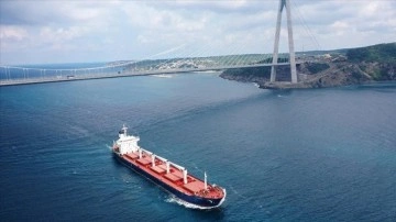 Türkiye'den 'denetim için bekleyen tahıl gemileri seyir riski oluşturuyor' uyarısı