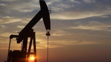 Türkiye'nin petrol ithalatı ocakta yüzde 11,02 arttı