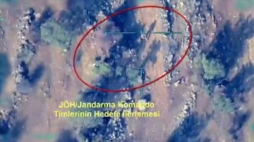 Turuncu ve gri kategoride aranan 2 ter&ouml;rist Mardin'de etkisiz hale getirildi