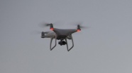 Uçaklar için 'drone'lar kuşlardan tehlikeli
