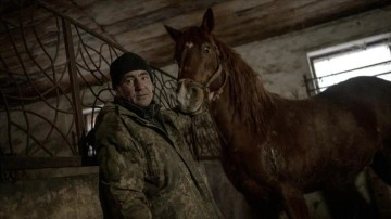 Ukraynalı polisler, Harkiv'de savaş nedeniyle sahipsiz kalan atların bakımını üstleniyor