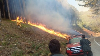 Uludağ'da yol kenarında &ccedil;ıkan yangın kontrol altına alındı