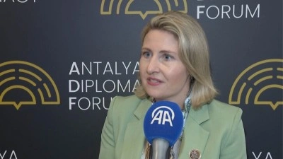 Uluslararası G&ouml;&ccedil; Politikası Geliştirme Merkezi Genel Direkt&ouml;r&uuml;'nden k&uuml;resel g&ouml;&ccedil; i&ccedil;in &ccedil;&ouml;z&uuml;m &ouml;ner