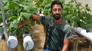 Üniversite öğrencisi Tunceli'de kurduğu topraksız serada sebze ve meyve üretti