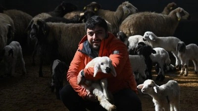 &Uuml;niversiteli gen&ccedil;, devlet desteğiyle başladığı hayvancılıkta s&ouml;z sahibi olmak istiyor