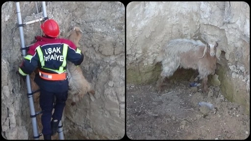 Uşak'ta kuyuya düşen keçiyi itfaiye kurtardı