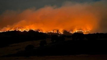 Uşak'ta çıkan orman yangınına müdahale sürüyor