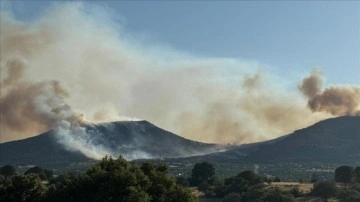 Uşak'ta orman yangınına müdahale ediliyor