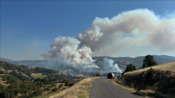 Uşak'ta otluk alanda başlayan yangın ormana sı&ccedil;radı