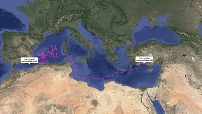 Uydudan izlenen "Altın", "G&uuml;m&uuml;ş", "Flora" ve "Fauna" binlerc