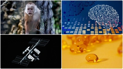 Uzay istasyonundaki yeni mikrop türünden fotoğraftan yaş analizine mayısın bilimsel gelişmeleri