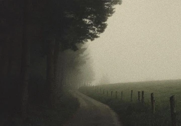 Uzunlar -Arzu Leyal yazdı-