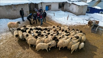 Van'da k&uuml;&ccedil;&uuml;kbaş hayvancılık devlet desteğiyle artıyor