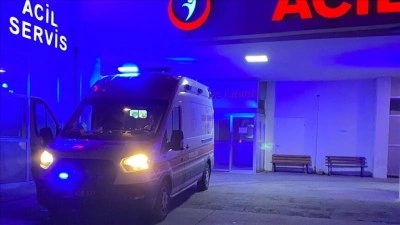 Van'da sahipsiz k&ouml;peklerin saldırısı sonucu bir &ccedil;ocuk hayatını kaybetti, bir &ccedil;ocuk yaralandı