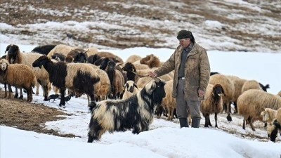 Van'ın kırsal mahallelerinde baharda da karla m&uuml;cadele s&uuml;r&uuml;yor