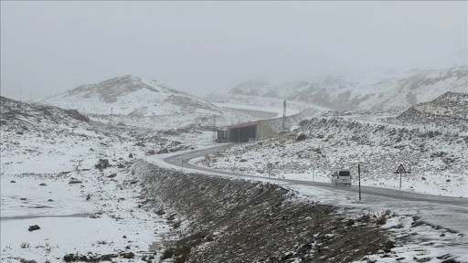 Van'ın yüksek kesimleri kar yağışıyla beyaza büründü