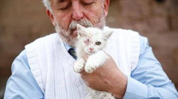 Van kedisinin kornea tahribatı nedeniyle görmeyen mavi gözü ışığa kavuştu