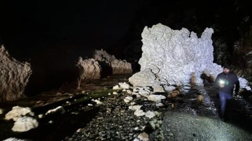 Van'da Çatak-Pervari kara yolu çığ sebebiyle kapandı