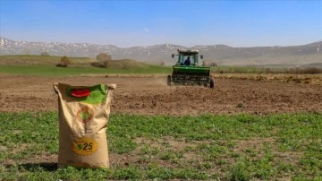 Van'da çiftçilere dağıtılan 364 ton buğday tohumunun ekimine başlandı