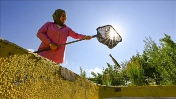 Vanlı kadın girişimci alabalık tesisini modernize edip üretimini artırdı