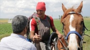 Vatani görevi için at sırtında yola çıkan Duman Yozgat&#039;a ulaştı