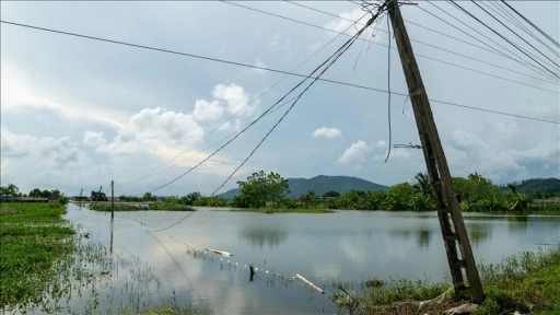 Vietnam'da etkili olan Bualoi Tayfunu nedeniyle 12 kişi hayatını kaybetti