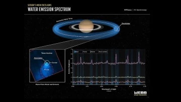 Webb, Satürn'ün uydusundan uzaya fışkıran 6 bin 600 kilometrelik su buharı sütununu görüntüledi