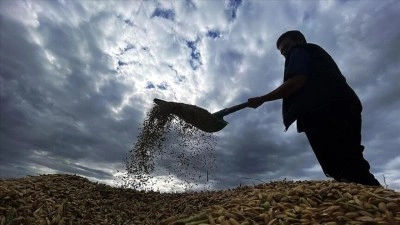 Yaklaşık 6,5 milyar lira tarımsal destekleme &ouml;demesi bug&uuml;n yapılacak