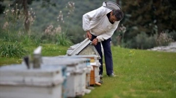 "Yalancı bahar" ve zirai ilaç kullanımı arı ölümlerine yol açabiliyor