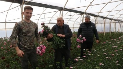Yalova'da d&ouml;rt kuşaktır s&uuml;rd&uuml;r&uuml;len &ccedil;i&ccedil;ek&ccedil;ilik torunlarla devam ediyor
