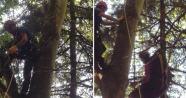 Yamaç paraşütü yaparken ağaca takılıp mahsur kaldı