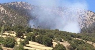 Yangında 50 hektarlık alan kül oldu