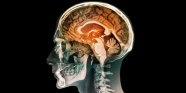 Yapay insan beyni üretildi! - Teknoloji Haberleri