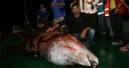 Yaralı balina kurtarılamadı