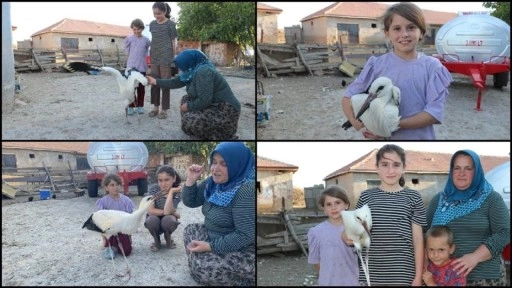 Yaralı leylek "Su"ya Yozgatlı aile sahip çıktı