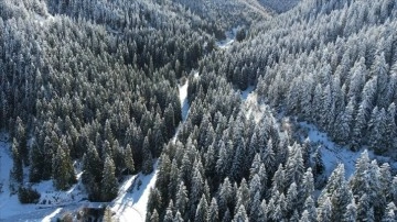 Yaralıgöz Dağı'nda ormanlar karla kaplandı