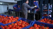 Yaş meyve sebze sektöründe gözler Rusya'ya çevrildi