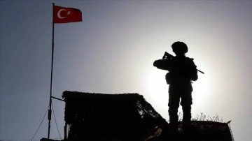 Yasa dışı yollarla sınırları geçmeye çalışan 2 terör örgütü mensubu yakalandı