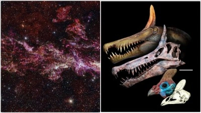 Yeni dinozor t&uuml;r&uuml;nden Samanyolu Galaksisi'nin g&ouml;r&uuml;nt&uuml;s&uuml;ne kadar şubattaki bilimsel gelişmeler