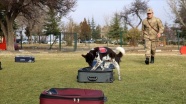 Yerli ırk köpekler Nevşehir&#039;deki JAKEM&#039;de eğitiliyor