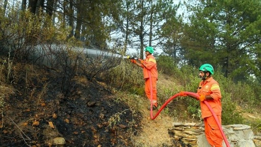 Yeşil Vatan'ın "turuncu gönüllüler"i orman yangınlarıyla mücadeleye destek veriyor